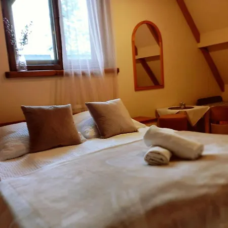 Habitación en casa particular Oleksandra Protsenko 